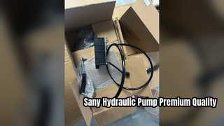 Sany Hydraulic Fan Motor Pump 60248398 High Quality Parts