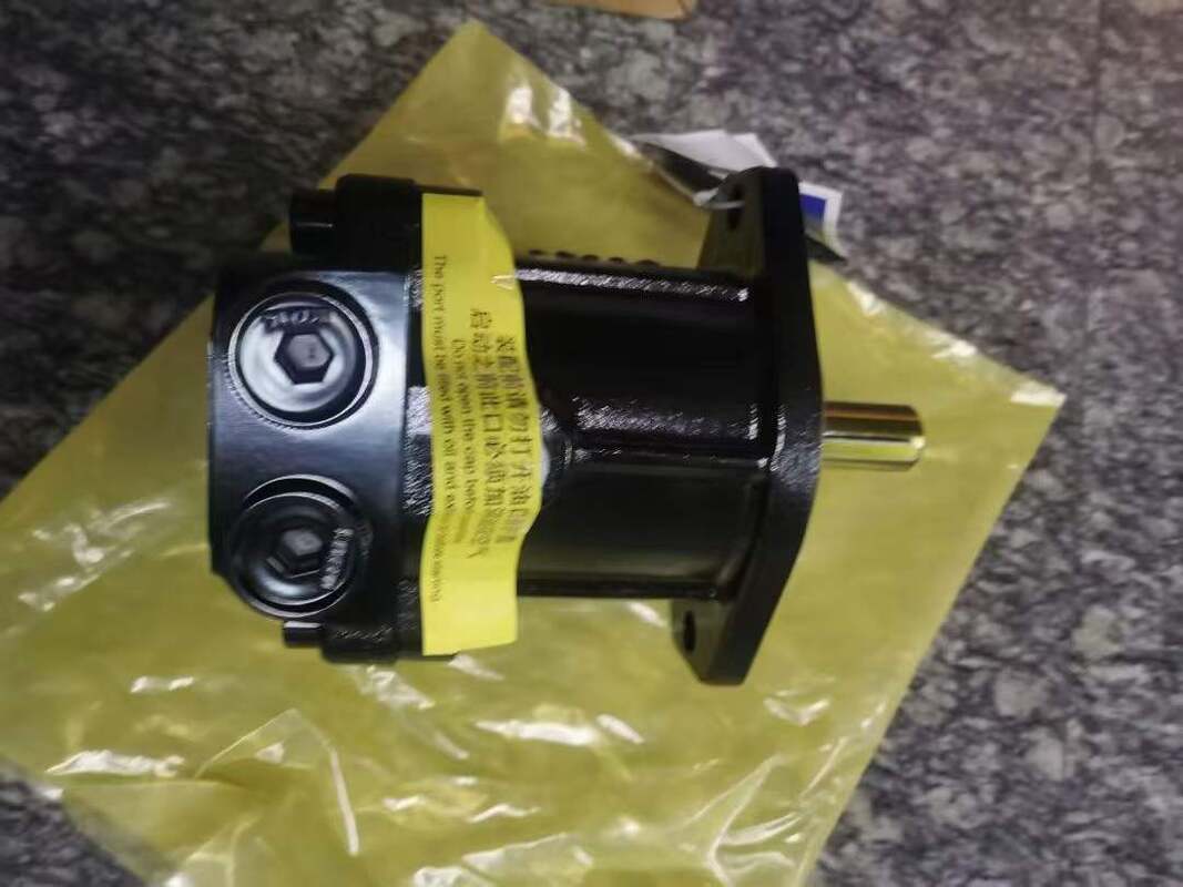 New Condition Sany Hydraulic Fan Motor Pump 60248398 14531612 Gear Pumps SY650 SY700 SY750 SY500 SY460 SY485 SY550 SY375 